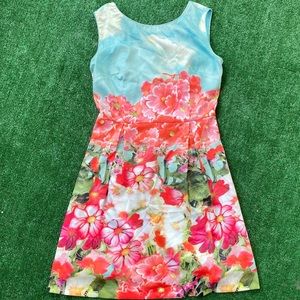 Yuzheng Xie Hou Dress- Size 8- Great Condition
